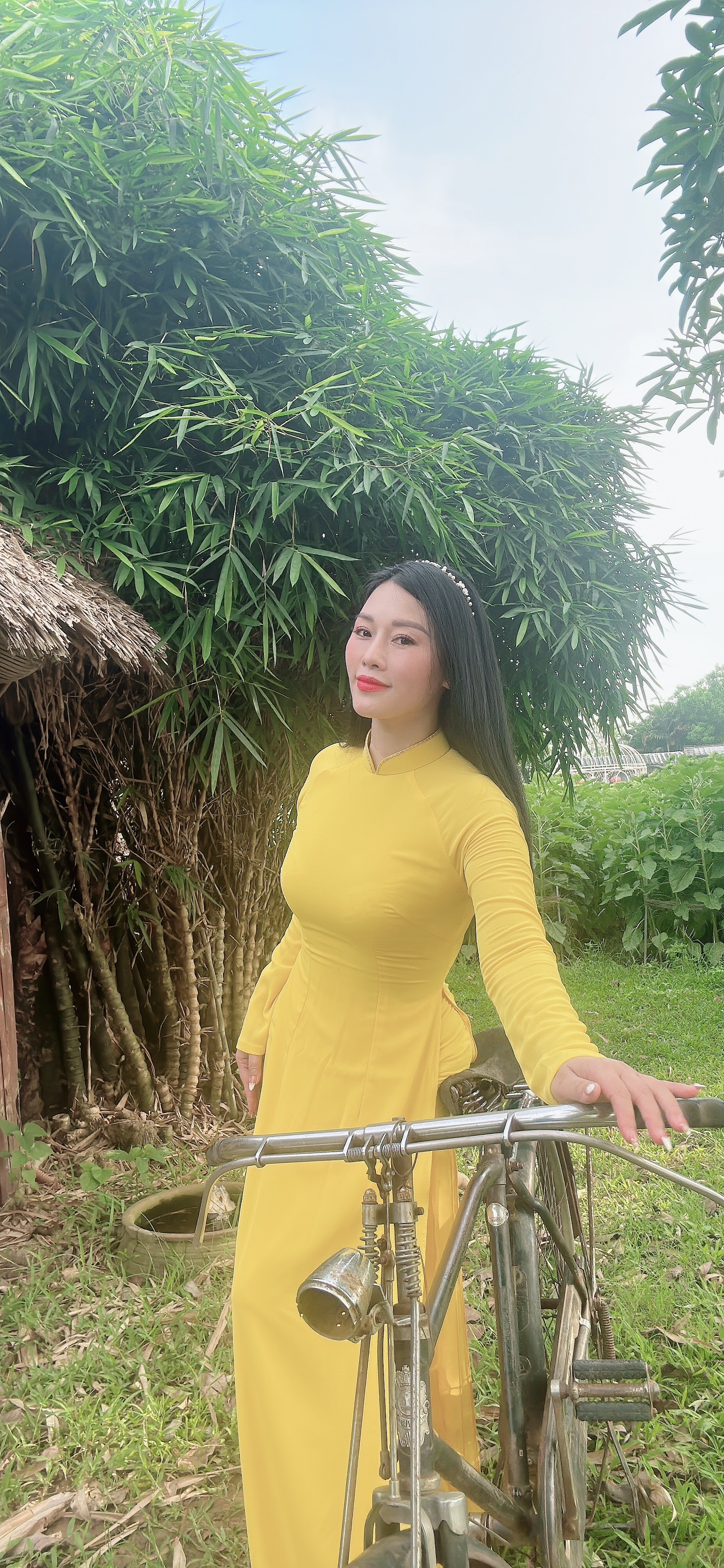 Mai vàng