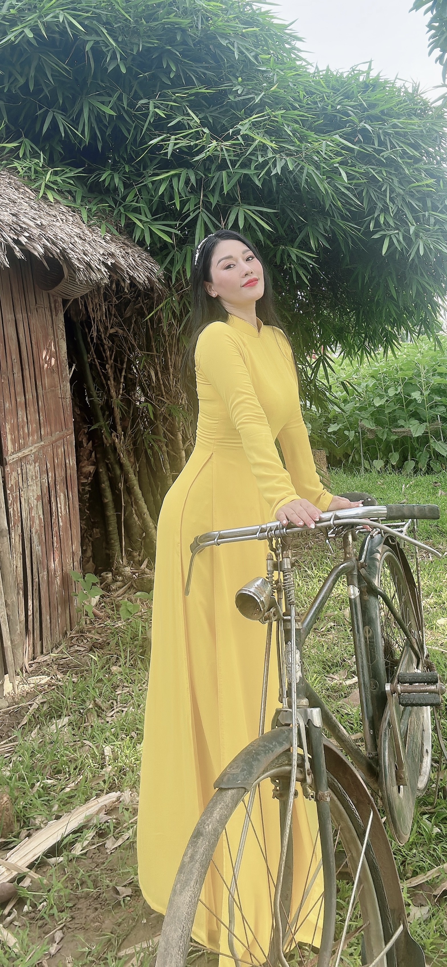 Mai vàng