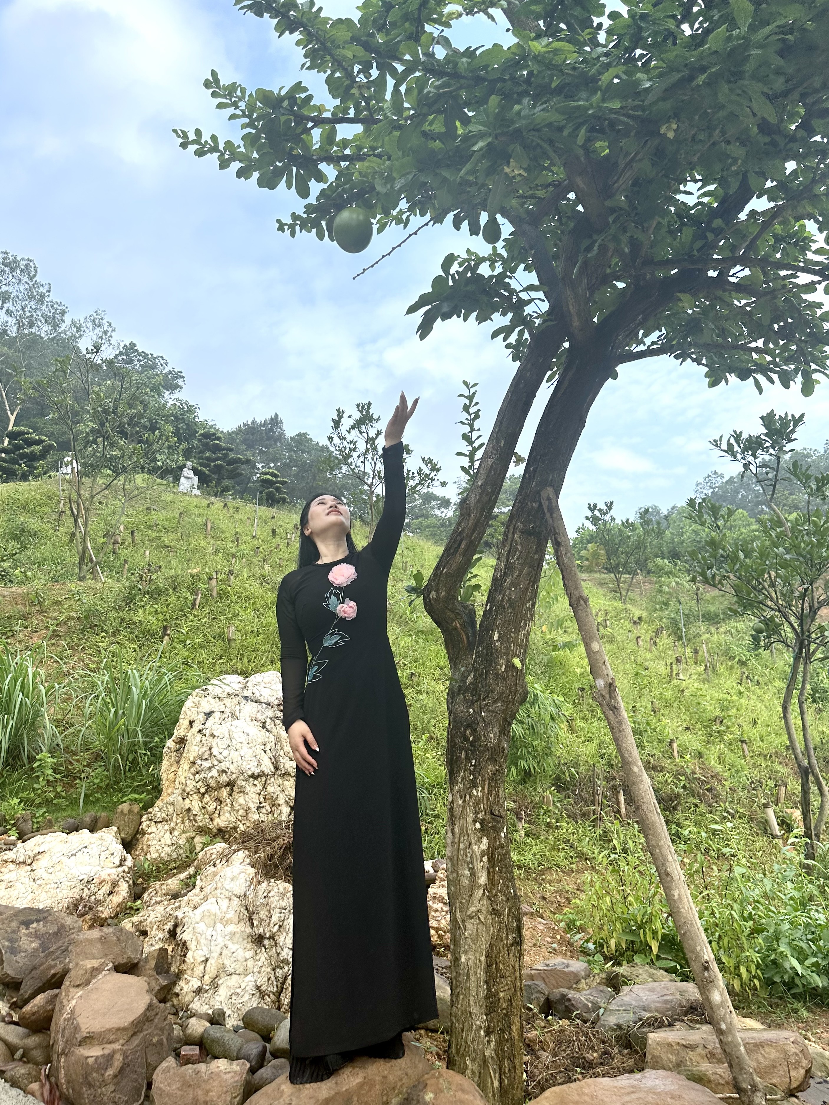 Phật đản