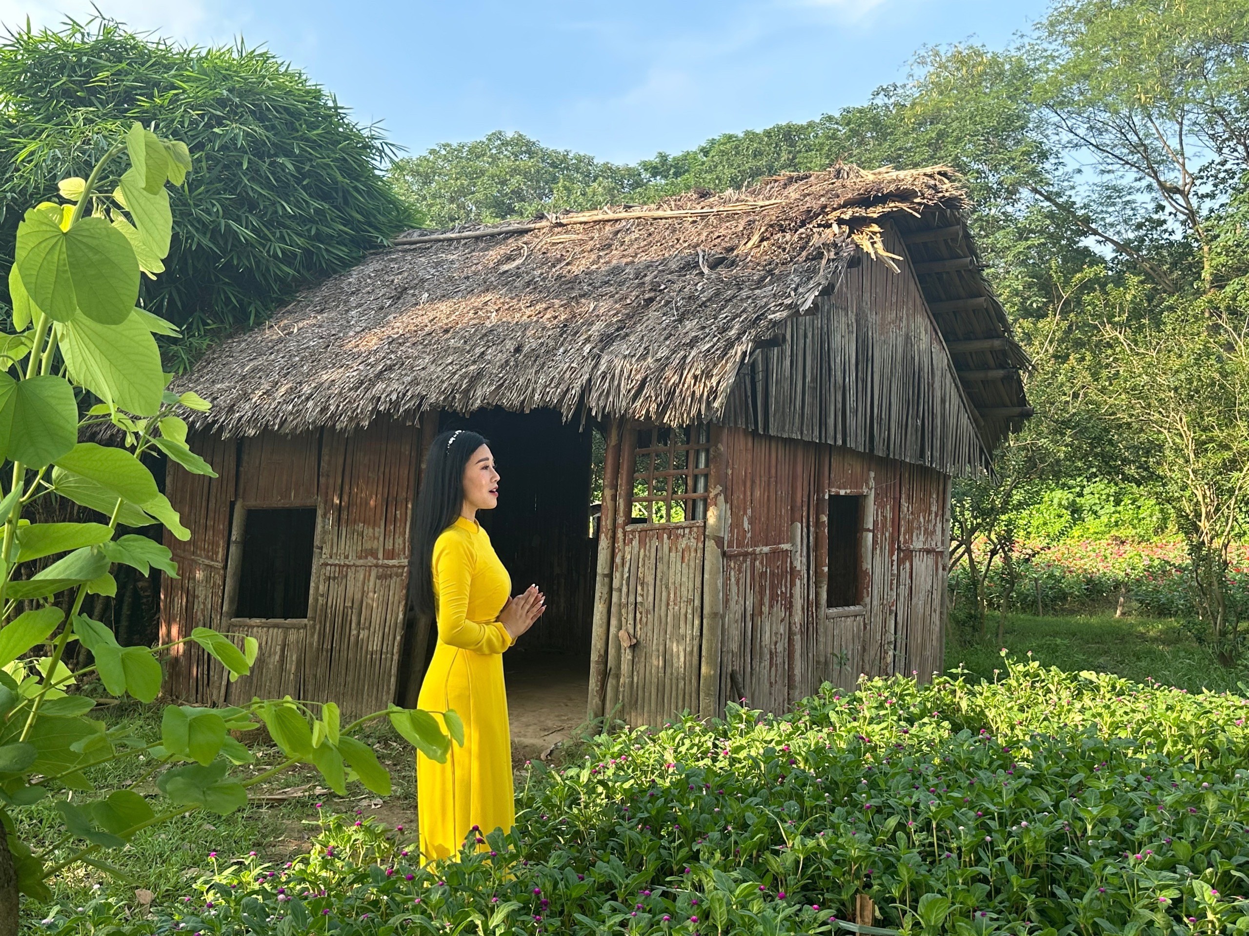 Ánh dương
