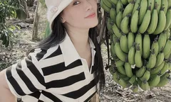 Chọn cả buồng