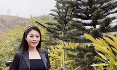 Bản mường xanh