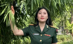 Bô đội