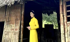 Mai vàng