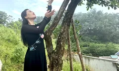 Phật đản