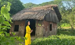 Ánh dương