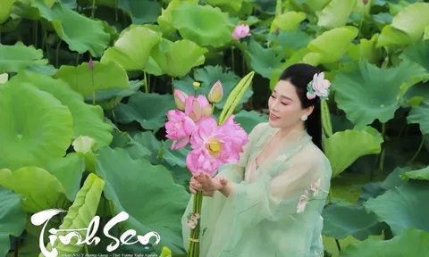 MV TÌNH SEN: Một ca khúc mới của NSƯT Hương Giang và Nhà báo Vương Xuân Nguyên vừa được ra mắt